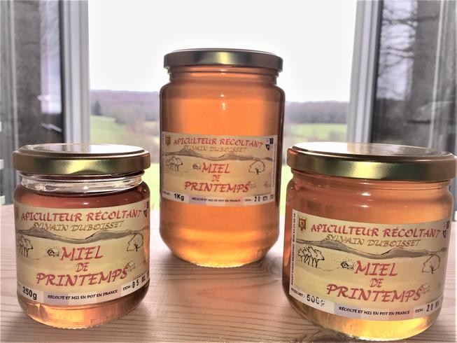 Miel de printemps 500g