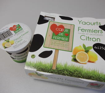 Yaourt aromatisé citron ×4