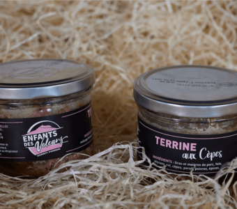 Terrine aux cèpes