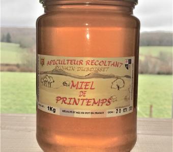 Pur Miel de fleurs bio AOP de Corse - Direct producteur