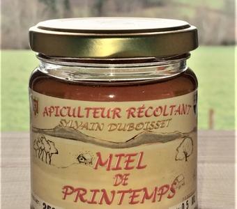 Miel de printemps 250g