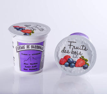 Yaourts fruits des bois avec morceaux de fruits par 4