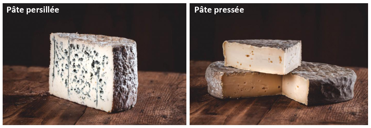 pâte fromages d'Auvergne